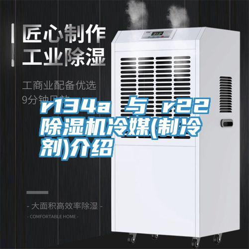 r134a 與 r22草莓污视频在线看冷媒(製冷劑)介紹