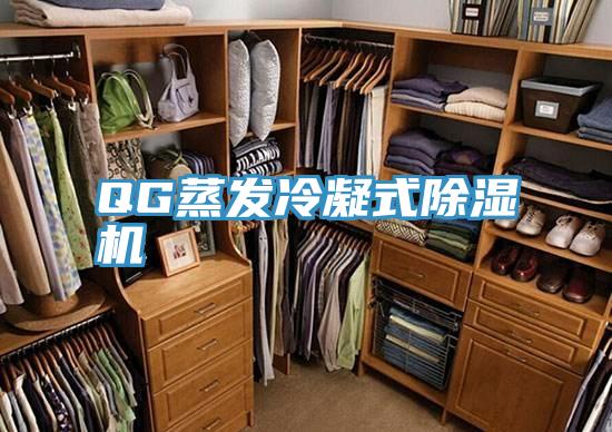 QG蒸發冷凝式草莓污视频在线看