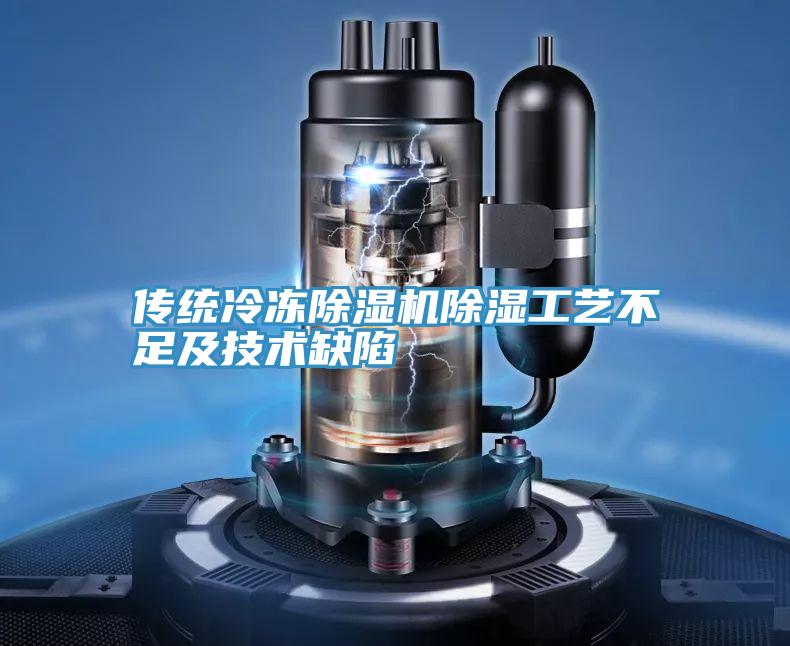 傳統冷凍草莓污视频在线看除濕工藝不足及技術缺陷