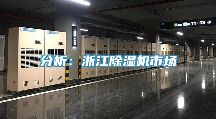 分析：浙江草莓污视频在线看市場