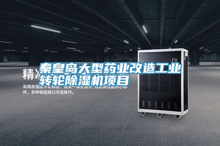 秦皇島大型藥業改造工業轉輪草莓污视频在线看項目