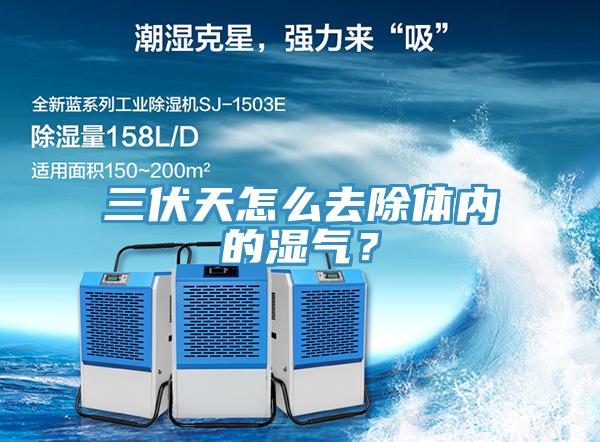 三伏天怎麽去除體內的濕氣？