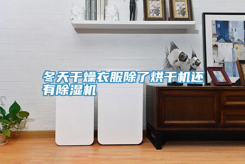 冬天幹燥衣服除了烘幹機還有草莓污视频在线看