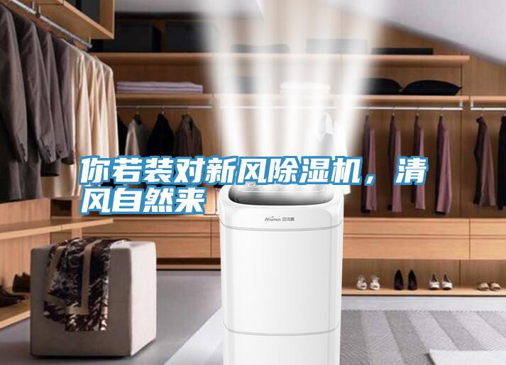 你若裝對新風草莓污视频在线看，清風自然來
