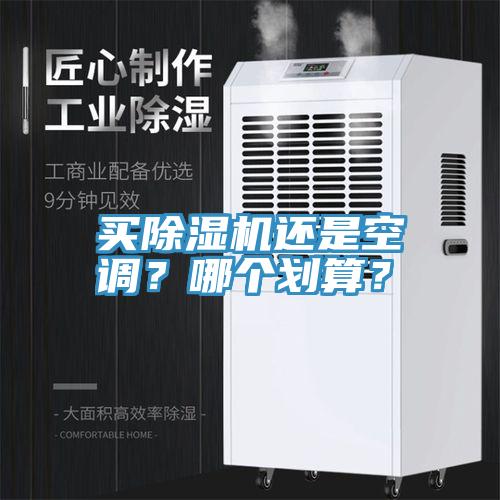 買草莓污视频在线看還是空調？哪個劃算？