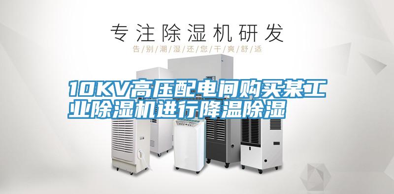 10KV高壓配電間購買某工業草莓污视频在线看進行降溫除濕