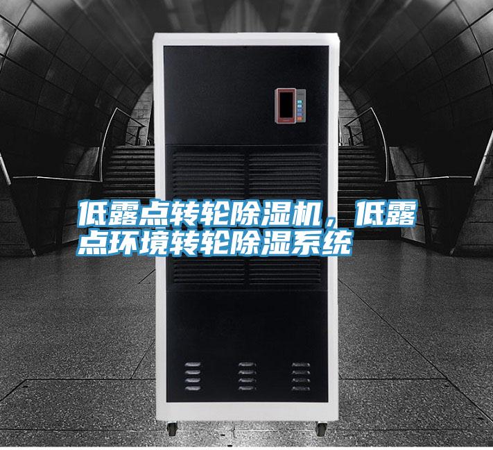 低露點轉輪草莓污视频在线看，低露點環境轉輪除濕係統