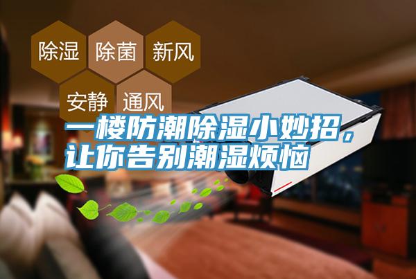一樓防潮除濕小妙招，讓你告別潮濕煩惱