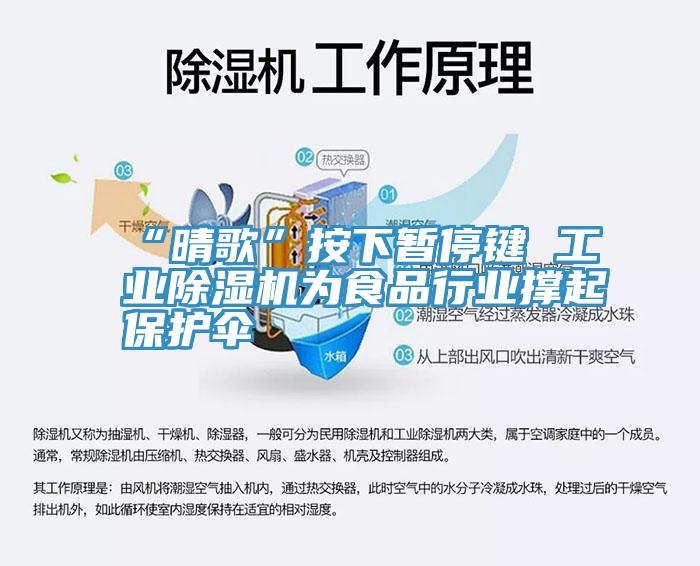 “晴歌”按下暫停鍵 工業草莓污视频在线看為食品行業撐起保護傘