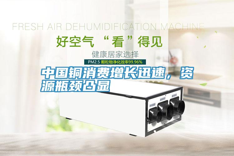中國銅消費增長迅速，資源瓶頸凸顯
