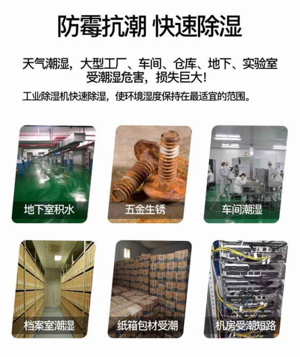 中藥材幹燥用耐高溫草莓污视频在线看