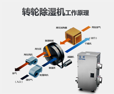 為什麽要使用轉輪草莓污视频在线看