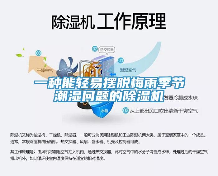 一種能輕易擺脫梅雨季節潮濕問題的草莓污视频在线看