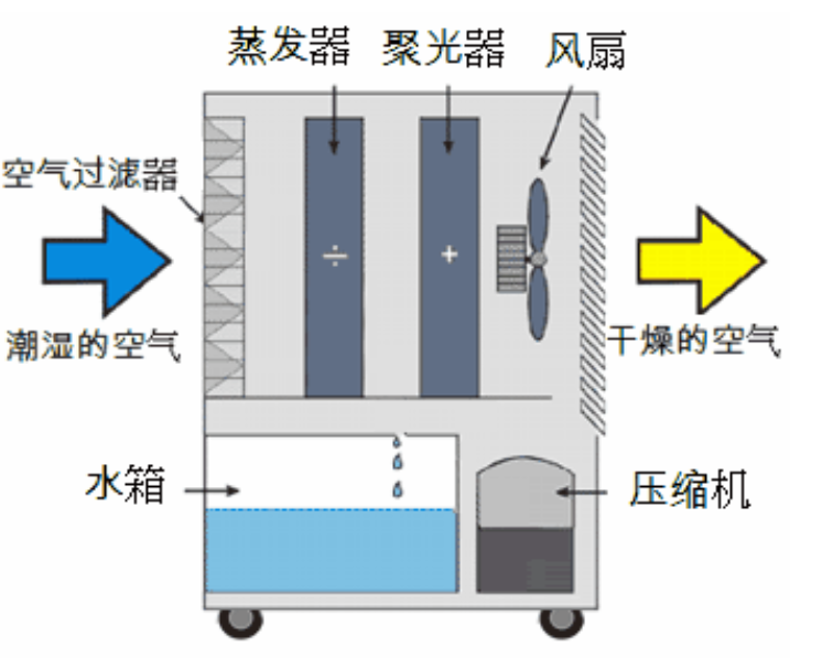 轉輪草莓污视频在线看啟動不正常的原因