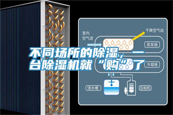 不同場所的除濕，一台草莓污视频在线看就“購”了