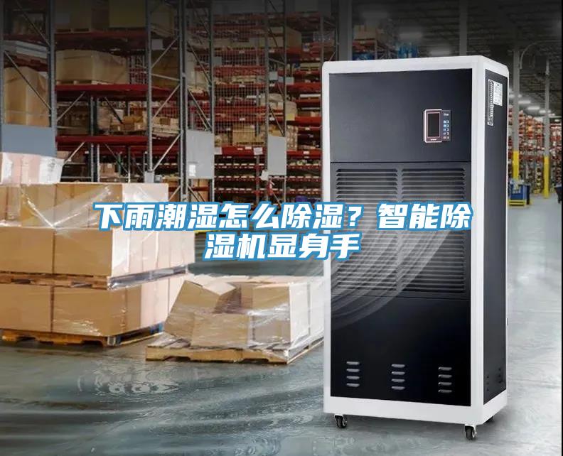 下雨潮濕怎麽除濕？智能草莓污视频在线看顯身手