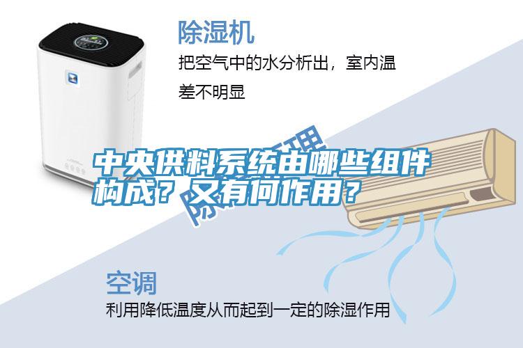 中央供料係統由哪些組件構成？又有何作用？