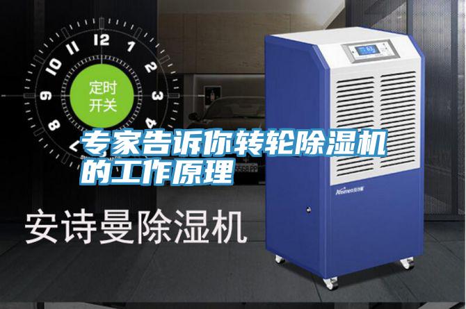 專家告訴你轉輪草莓污视频在线看的工作原理