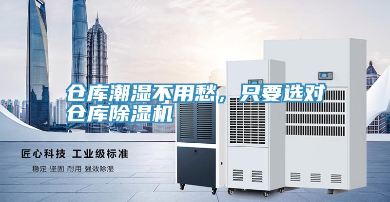 倉庫潮濕不用愁，隻要選對倉庫草莓污视频在线看