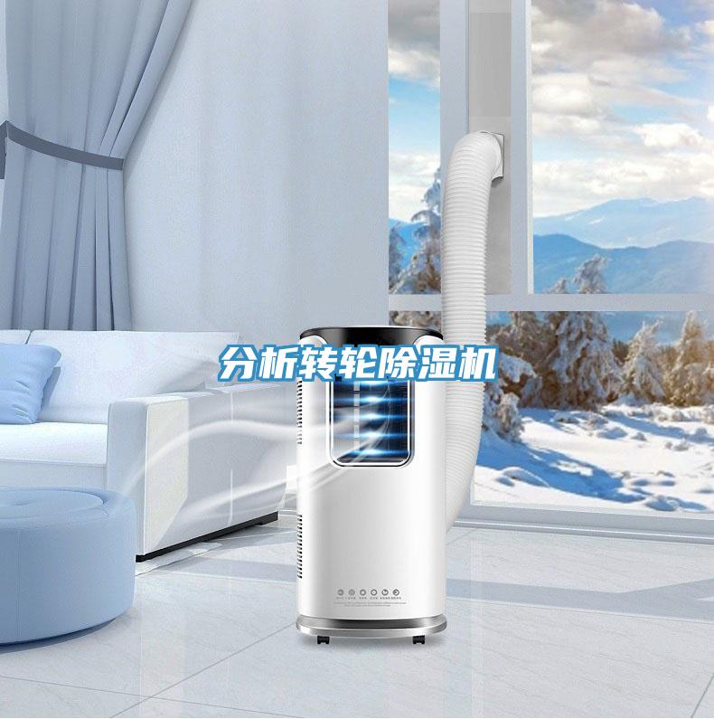 分析轉輪草莓污视频在线看