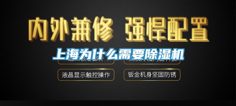 上海為什麽需要草莓污视频在线看