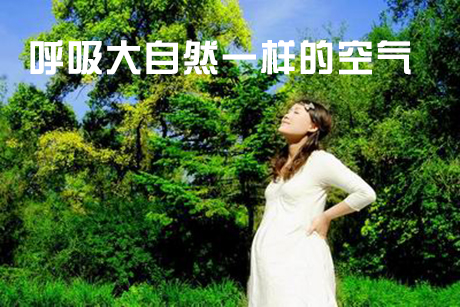 工業草莓污视频在线看廠家