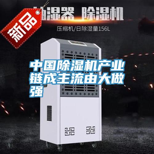中國草莓污视频在线看產業鏈成主流由大做強
