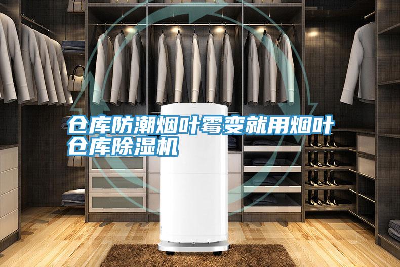 倉庫防潮煙葉黴變就用煙葉倉庫草莓污视频在线看
