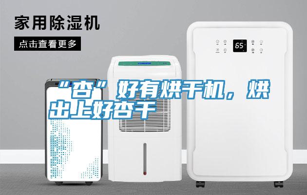 “杏”好有烘幹機，烘出上好杏幹