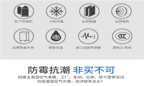 為什麽房子潮濕會有危害？
