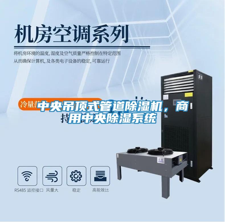 中央吊頂式管道草莓污视频在线看，商用中央除濕係統