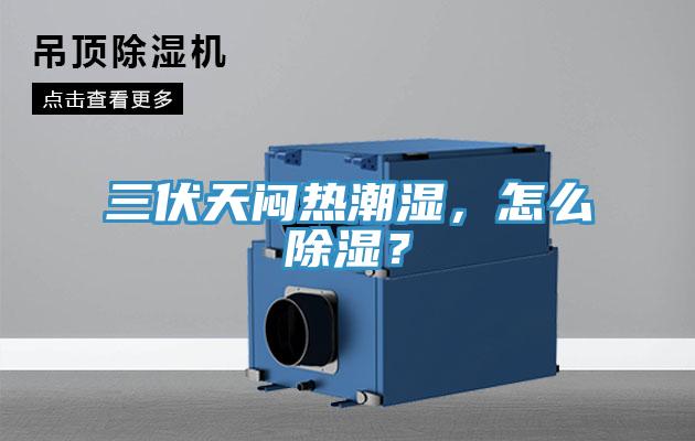 三伏天悶熱潮濕，怎麽除濕？