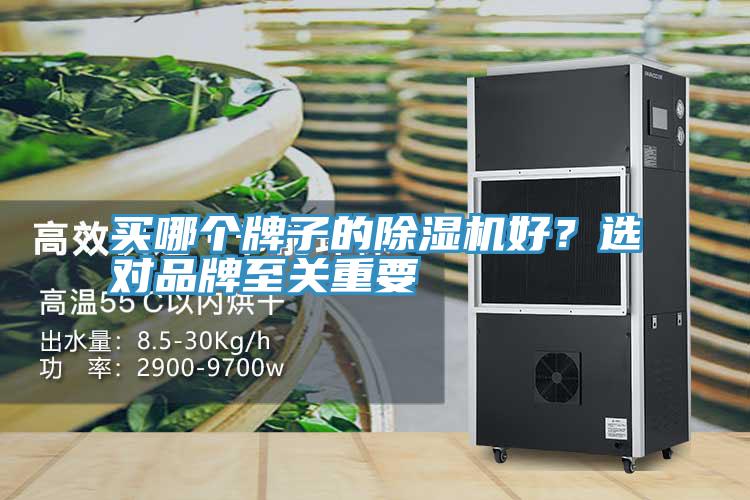 買哪個牌子的草莓污视频在线看好？選對品牌至關重要