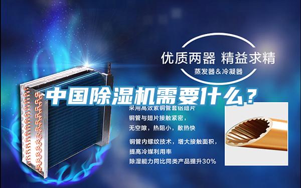 中國草莓污视频在线看需要什麽？