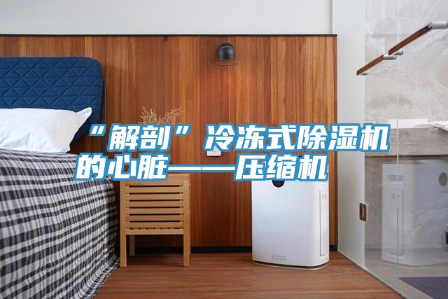 “解剖”冷凍式草莓污视频在线看的心髒——壓縮機