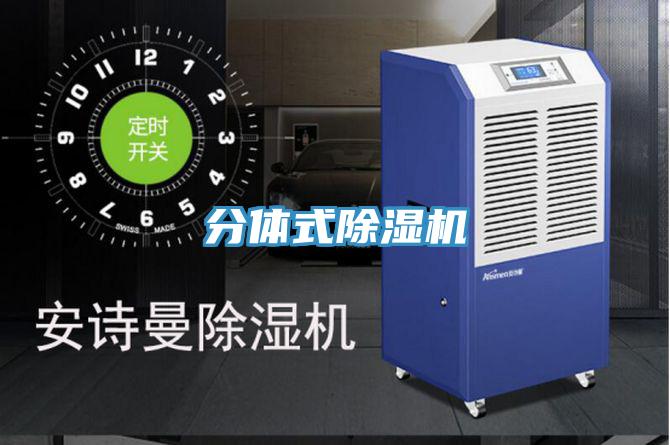 分體式草莓污视频在线看