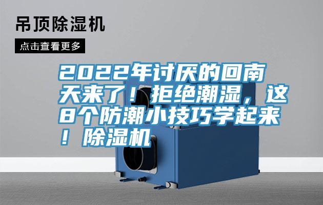 2022年討厭的回南天來了！拒絕潮濕，這8個防潮小技巧學起來！草莓污视频在线看