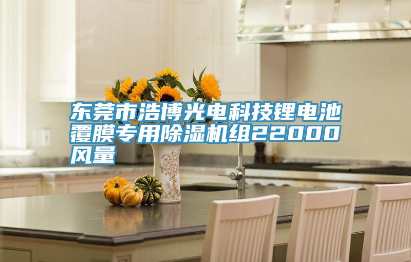 東莞市浩博光電科技鋰電池覆膜專用草莓污视频在线看組22000風量