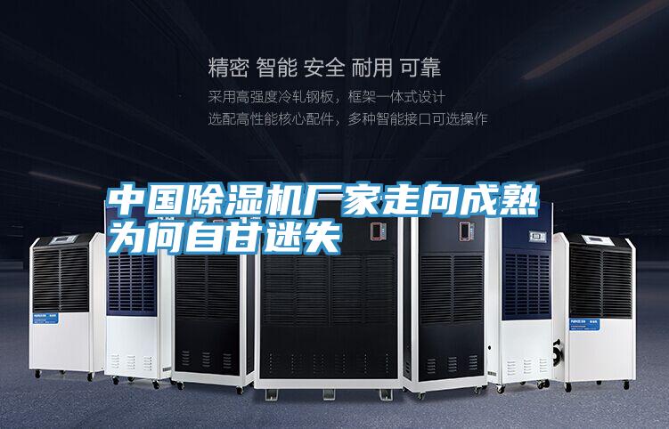 中國草莓污视频在线看廠家走向成熟 為何自甘迷失