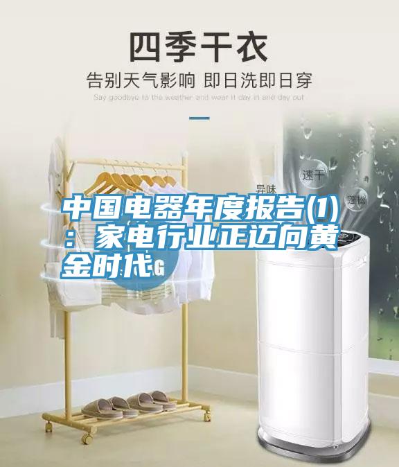 中國電器年度報告(1)：家電行業正邁向黃金時代