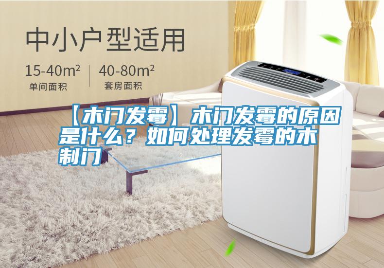 【木門發黴】木門發黴的原因是什麽？如何處理發黴的木製門