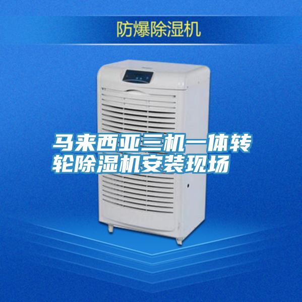 馬來西亞三機一體轉輪草莓污视频在线看安裝現場