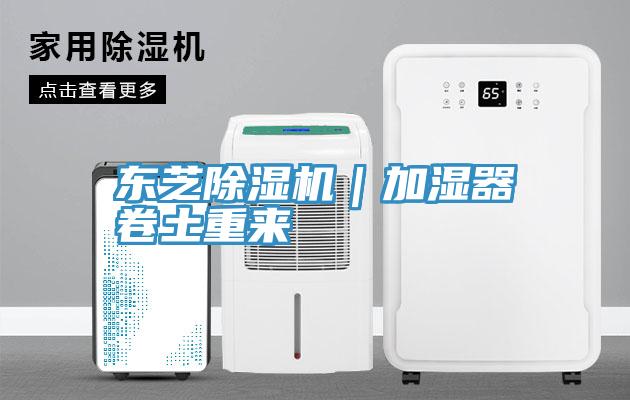 東芝草莓污视频在线看｜加濕器卷土重來