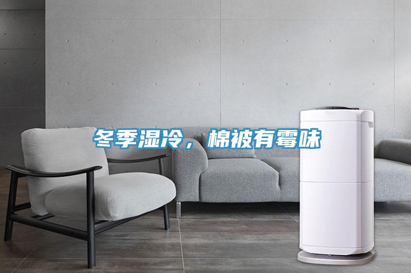 冬季濕冷，棉被有黴味