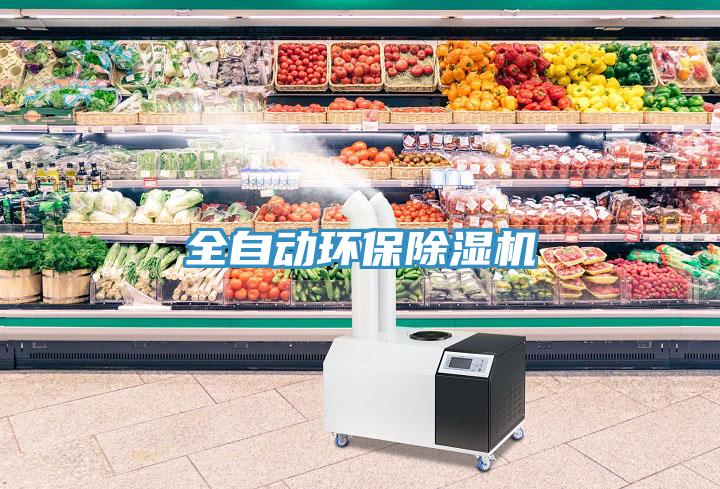 全自動環保草莓污视频在线看