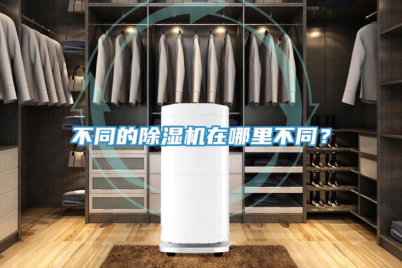 不同的草莓污视频在线看在哪裏不同？