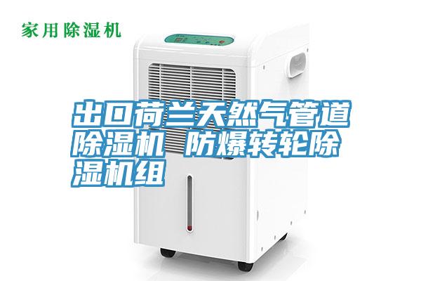 出口荷蘭天然氣管道草莓污视频在线看 防爆轉輪草莓污视频在线看組
