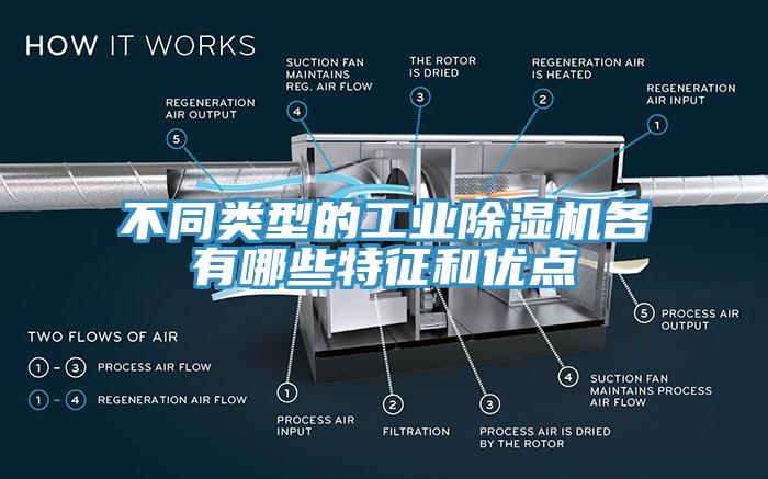 不同類型的工業草莓污视频在线看各有哪些特征和優點