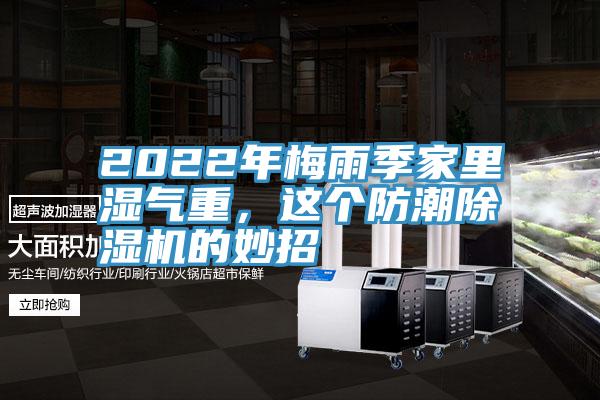 2022年梅雨季家裏濕氣重，這個防潮草莓污视频在线看的妙招