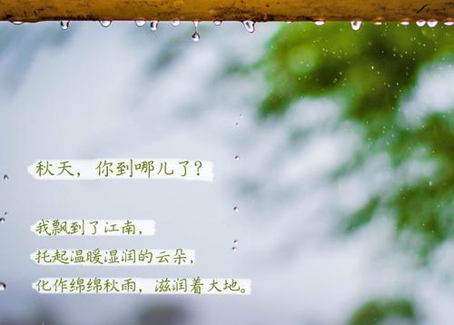 “無晴”陰雨天 “有晴”草莓污视频在线看